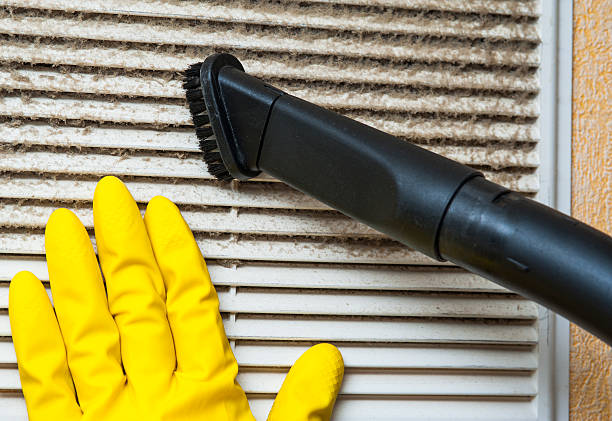 Best Ventilation Cleaning Services  in Pocomoke City, MD