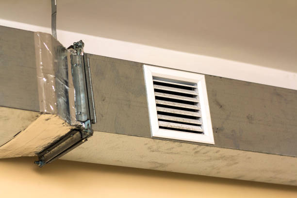 Best Air Duct Sanitizing Services  in Pocomoke City, MD